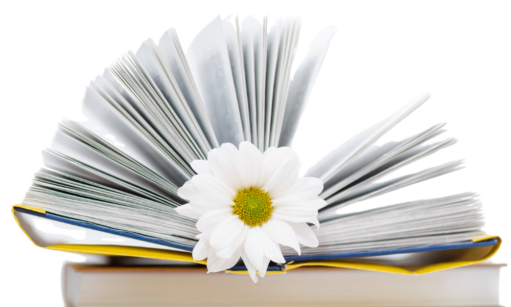 BANNER IDEAS LIBROS 2